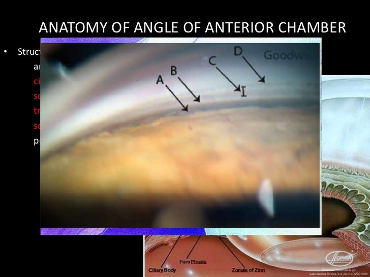 gonioscopy posterior