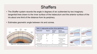 Shaffers
• The Shaffer system records the angle in degrees of arc subtended by two imaginary
tangential lines drawn to the inner surface of the trabeculum and the anterior surface of the
iris about one third of the distance from its periphery.
• Estimates geometric angle between iris and cornea.
 