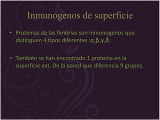 Inmunogenos de superficie
• Proteínas de las fimbrias son inmunogenos que
  distinguen 4 tipos diferentes :α,β,γ,δ.

• También se han encontrado 1 proteína en la
  superficie ext. De la pared que diferencia 9 grupos.
 