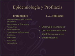 Epidemiología y Profilaxis
           Tratamiento                          C.C. similares
•   Cepas resistentes a la penicilina-
    probenecid
•   Resistentes a la β lactamasa
•   Tetraciclinas                        •   Chlamydia trachomatis
•   Espectinomicina
                                         •   Ureaplasma urealyticum
•   Trimetoprim- Sulfametoxazol
•   Doxiciclina                          •   Staphilococcus aureus
•   Ceftriaxona                          •   Enterobacterias
•   Quinolonas
•   Azitromicina
 
