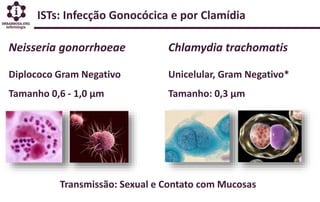 ISTs: Infecção Gonocócica e por Clamídia
Neisseria gonorrhoeae
Diplococo Gram Negativo
Tamanho 0,6 - 1,0 µm
Chlamydia trachomatis
Unicelular, Gram Negativo*
Tamanho: 0,3 µm
Transmissão: Sexual e Contato com Mucosas
 