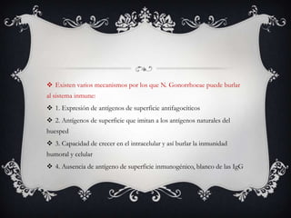 Existen varios mecanismos por los que N. Gonorrhoeae puede burlar al sistema inmune:1. Expresión de antígenos de superficie antifagocíticos2. Antígenos de superficie que imitan a los antígenos naturales del huesped3. Capacidad de crecer en el intracelular y así burlar la inmunidad humoral y celular4. Ausencia de antígeno de superficie inmunogénico, blanco de las IgG