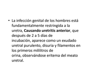 • La infección genital de los hombres está
  fundamentalmente restringida a la
  uretra, Causando uretritis anterior, que
  después de 2 a 5 días de
  incubación, aparece como un exudado
  uretral purulento, disuria y filamentos en
  los primeros mililitros de
  orina, observándose eritema del meato
  uretral.
 