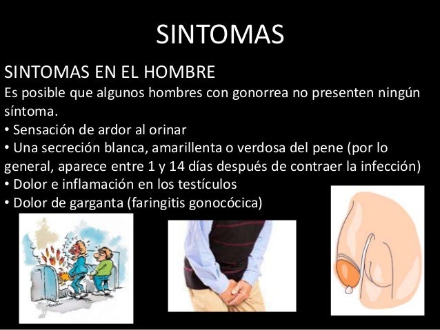 Los helmintos del cerebro