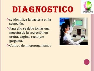 DIAGNOSTICO se identifica la bacteria en la secreción.  Para ello se debe tomar una muestra de la secreción en uretra, vagina, recto y/o garganta. Cultivo de microorganismos  