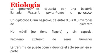 EtiologíaLa gonorrea es causada por una bacteria
llamada Neisseria gonorrhoeae o gonococo.
Un diplococo Gram negativo, de entre 0,6 a 0,8 micrones
de diámetro
No móvil (no tiene flagelo) y sin capsula.
Patógeno exclusivo de seres humanos
La transmisión puede ocurrir durante el acto sexual, en el
parto
 