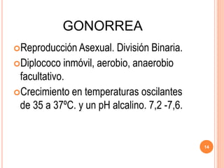 GONORREA
Reproducción Asexual. División Binaria.
Diplococo inmóvil, aerobio, anaerobio
facultativo.
Crecimiento en temperaturas oscilantes
de 35 a 37ºC. y un pH alcalino. 7,2 -7,6.
14
 