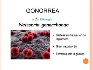 GONORREA
 ③ Etiología.
Neisseria gonorrhoeae
• Bacteria en disposición de
Diplococos.
• Gram negativo. (-)
• Fermenta solo la glucosa.
8
 