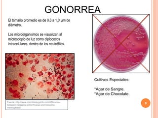GONORREA
El tamaño promedio es de 0,8 a 1,0 µm de
diámetro.
Los microorganismos se visualizan al
microscopio de luz como diplococos
intracelulares, dentro de los neutrófilos.
9Fuente: http://www.microbiologyinfo.com/difference-
between-neisseria-gonorrhoeae-and-neisseria-
meningitides/
Cultivos Especiales:
*Agar de Sangre.
*Agar de Chocolate.
 