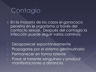     En la mayoría de los casos el gonococo
     penetra en el organismo a través del
     contacto sexual. Después del contagio la
     infección puede seguir varios caminos:

1. Desaparecer espontáneamente
2. Propagarse por el sistema genitourinario
3. Permanecer en forma latente
4. Pasar al torrente sanguíneo y producir
   manifestaciones a distancia.
 
