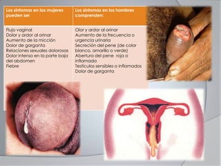 Los síntomas en las mujeres
pueden ser
Los síntomas en los hombres
comprenden:
Flujo vaginal
Dolor y ardor al orinar
Aumento de la micción
Dolor de garganta
Relaciones sexuales dolorosas
Dolor intenso en la parte baja
del abdomen
Fiebre
Olor y ardor al orinar
Aumento de la frecuencia o
urgencia urinaria
Secreción del pene (de color
blanco, amarillo o verde)
Abertura del pene roja o
inflamada
Testículos sensibles o inflamados
Dolor de garganta
 