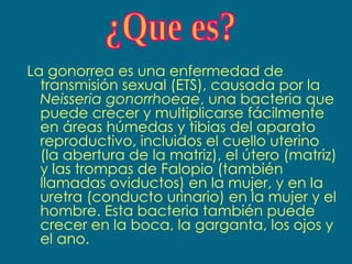 La gonorrea es una enfermedad de transmisión sexual (ETS), causada por la  Neisseria gonorrhoeae , una bacteria que puede crecer y multiplicarse fácilmente en áreas húmedas y tibias del aparato reproductivo, incluidos el cuello uterino (la abertura de la matriz), el útero (matriz) y las trompas de Falopio (también llamadas oviductos) en la mujer, y en la uretra (conducto urinario) en la mujer y el hombre. Esta bacteria también puede crecer en la boca, la garganta, los ojos y el ano. ¿Que es? 