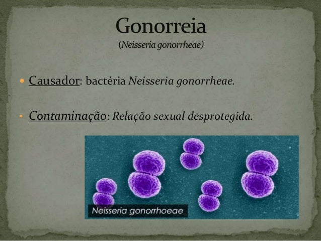 Diagrama De Infeccao Por Gonorreia