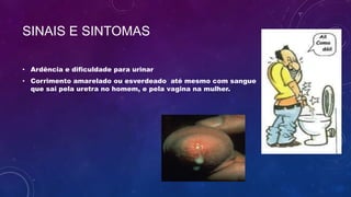 SINAIS E SINTOMAS
• Ardência e dificuldade para urinar
• Corrimento amarelado ou esverdeado até mesmo com sangue
que sai pela uretra no homem, e pela vagina na mulher.
 