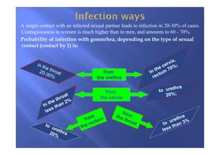 A single contact with an infected sexual partner leads to infection in 20-30% of cases.
Contagiousness in women is much higher than in men, and amounts to 60 - 70%.
Probability of infection with gonorrhea, depending on the type of sexual
contact (contact by 1) is:
In the cervix,
rectum
70%;in the throat20-30%
In the throat
less than 2%
to urethra
20%;
from
the urethra
from
the cervix
to urethra20%
to urethra
less than 3%from
the rectum
fromthe throat
 