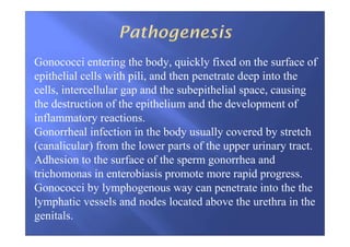 Gonococci entering the body, quickly fixed on the surface of
epithelial cells with pili, and then penetrate deep into the
cells, intercellular gap and the subepithelial space, causing
the destruction of the epithelium and the development of
inflammatory reactions.
Gonorrheal infection in the body usually covered by stretch
(canalicular) from the lower parts of the upper urinary tract.
Adhesion to the surface of the sperm gonorrhea and
trichomonas in enterobiasis promote more rapid progress.
Gonococci by lymphogenous way can penetrate into the the
lymphatic vessels and nodes located above the urethra in the
genitals.
 