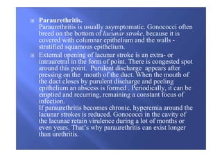 Paraurethritis.
Paraurethritis is usually asymptomatic. Gonococci often
breed on the bottom of lacunar stroke, because it is
covered with columnar epithelium and the walls -
stratified squamous epithelium.
External opening of lacunar stroke is an extra- or
intrauretral in the form of point. There is congested spot
around this point. Purulent discharge appears after
pressing on the mouth of the duct. When the mouth of
the duct closes by purulent discharge and peeling
epithelium an abscess is formed . Periodically, it can be
emptied and recurring, remaining a constant focus of
infection.
If paraurethritis becomes chronic, hyperemia around the
lacunar strokes is reduced. Gonococci in the cavity of
the lacunae retain virulence during a lot of months or
even years. That’s why paraurethritis can exist longer
than urethritis.
 