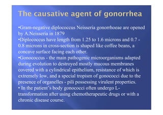 •Gram-negative diplococcus Neisseria gonorrhoeae are opened
by A.Neisseria in 1879
•Diplococcus have length from 1.25 to 1.6 microns and 0.7 -
0.8 microns in cross-section is shaped like coffee beans, a
concave surface facing each other.
•Gonococcus - the main pathogenic microorganisms adapted
during evolution to destroyed mostly mucous membranes
covered with a cylindrical epithelium, resistance of which is
extremely low, and a special tropism of gonococci due to the
presence of organelles - pili possessing virulent properties.
• In the patient’s body gonococci often undergo L-
transformation after using chemotherapeutic drugs or with a
chronic disease course.
 