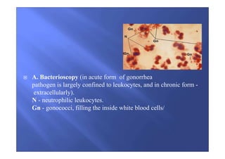 A. Bacterioscopy (in acute form of gonorrhea
pathogen is largely confined to leukocytes, and in chronic form -
extracellularly).
N - neutrophilic leukocytes.
Gn - gonococci, filling the inside white blood cells/
 