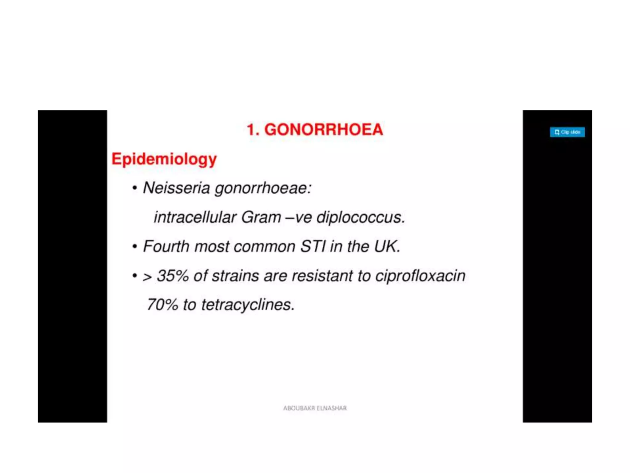 Gonorrhea | PPT