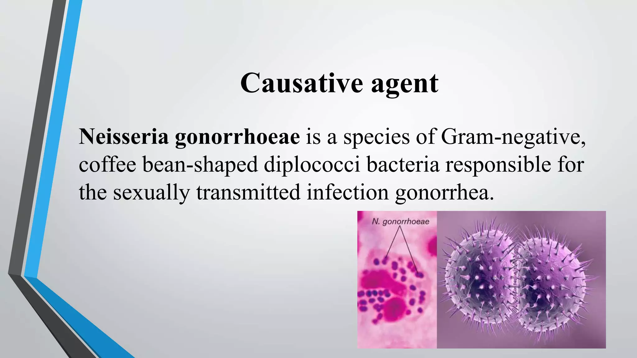 Understanding Gonorrhea: Causes, Symptoms, and Treatment - Hii Doc, image size:2048x1152