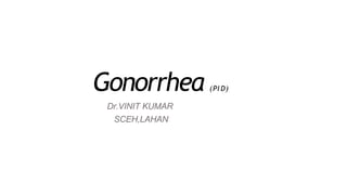 Gonorrhea (PI D)
Dr.VINIT KUMAR
SCEH,LAHAN
 