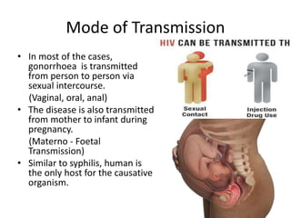 SEXUALLY TRANSMITTED DISEASE (GONORRHOEA) | PPTX