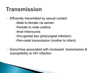  Efficiently transmitted by sexual contact
-Male to female via semen
-Female to male urethra
-Anal intercourse
-Oro-genital sex (pharyngeal infection)
-Peri-natal transmission (mother to infant)
 Gonorrhea associated with increased transmission &
susceptibility to HIV infection
 