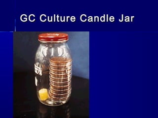 GC Culture Candle Jar

 