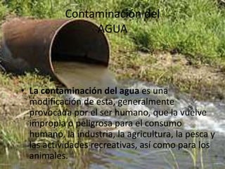 Contaminación del
AGUA
• La contaminación del agua es una
modificación de esta, generalmente
provocada por el ser humano, que la vuelve
impropia o peligrosa para el consumo
humano, la industria, la agricultura, la pesca y
las actividades recreativas, así como para los
animales.