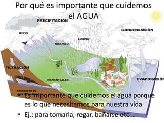 Por qué es importante que cuidemos
el AGUA
• Es importante que cuidemos el agua porque
es lo que necesitamos para nuestra vida
• Ej.: para tomarla, regar, bañarse etc.…