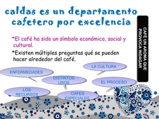 caldas es un departamento
cafetero por excelencia
*El café ha sido un símbolo económico, social y
cultural.
*Existen múltiples preguntas qué se pueden
hacer alrededor del café.
ENFERMEDADESENFERMEDADES
LOS
RECURSOS
LOS
RECURSOS
DISTINTOS
USOS
DISTINTOS
USOS
LA CULTURALA CULTURA
EL PROCESOEL PROCESO
CAFES
ESPECIALES
CAFES
ESPECIALES
CAFÉUNAROMAQUE
PROVOCAINDAGAR
 