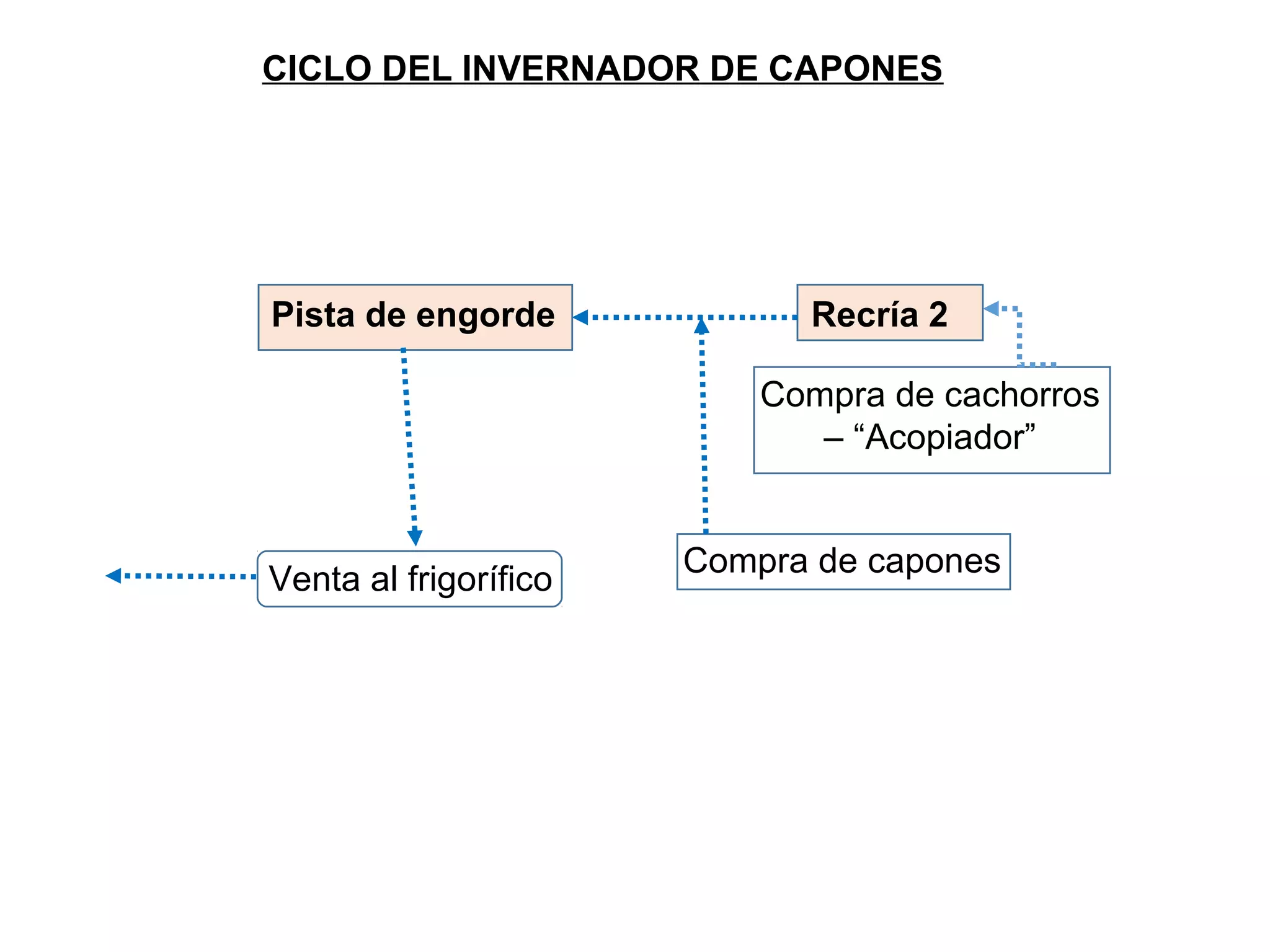 CICLO DEL INVERNADOR DE CAPONES
Recría 2Pista de engorde
Compra de cachorros
– “Acopiador”
Compra de capones
Venta al frigorífico
 