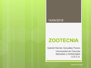 ZOOTECNIA
Gabriel Hernán González Forero
Universidad de Ciencias
Aplicadas y Ambientales
U.D.C.A.
14/04/2019
Gabriel Gonzalez
1
 