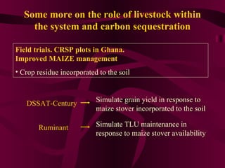 A farm-level analysis of carbon sequestration in Ghana using IMPACT linked to the DSSAT-Century, Household and Ruminant models 
