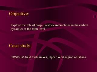 A farm-level analysis of carbon sequestration in Ghana using IMPACT linked to the DSSAT-Century, Household and Ruminant models 