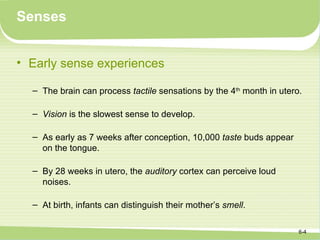 Senses


• Early sense experiences

  – The brain can process tactile sensations by the 4th month in utero.

  – Vision is the slowest sense to develop.

  – As early as 7 weeks after conception, 10,000 taste buds appear
    on the tongue.

  – By 28 weeks in utero, the auditory cortex can perceive loud
    noises.

  – At birth, infants can distinguish their mother’s smell.

                                                                      6-4
 
