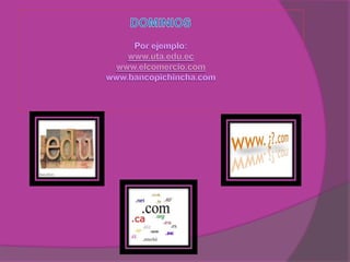 Gonzalezreinalda.ppt