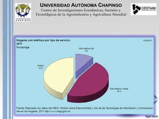 UNIVERSIDAD AUTÓNOMA CHAPINGO
Centro de Investigaciones Económicas, Sociales y
Tecnológicas de la Agroindustria y Agricultura Mundial
 