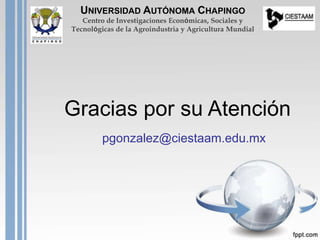 Gracias por su Atención
pgonzalez@ciestaam.edu.mx
UNIVERSIDAD AUTÓNOMA CHAPINGO
Centro de Investigaciones Económicas, Sociales y
Tecnológicas de la Agroindustria y Agricultura Mundial
 