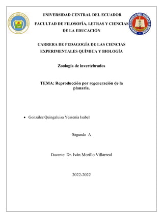 UNIVERSIDAD CENTRAL DEL ECUADOR
FACULTAD DE FILOSOFÍA, LETRAS Y CIENCIAS
DE LA EDUCACIÓN
CARRERA DE PEDAGOGÍA DE LAS CIENCIAS
EXPERIMENTALES QUÍMICA Y BIOLOGÍA
Zoología de invertebrados
TEMA: Reproducción por regeneración de la
planaria.
 González Quingaluisa Yessenia Isabel
Segundo A
Docente: Dr. Iván Morillo Villarreal
2022-2022
 
