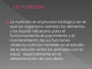 La nutrición es el proceso biológico en el
que los organismo asimilan los alimentos
y los liquido necesario para el
funcionamiento el crecimiento y el
mantenimiento de sus funciones
vitales.la nutrición también es el estudio
de la relación entre los animales con la
salud, especialmente en la
determinación de una dieta.