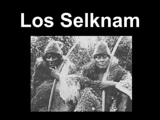 Los Selknam 
