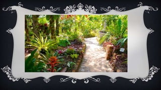 González valentín presentación_competic2