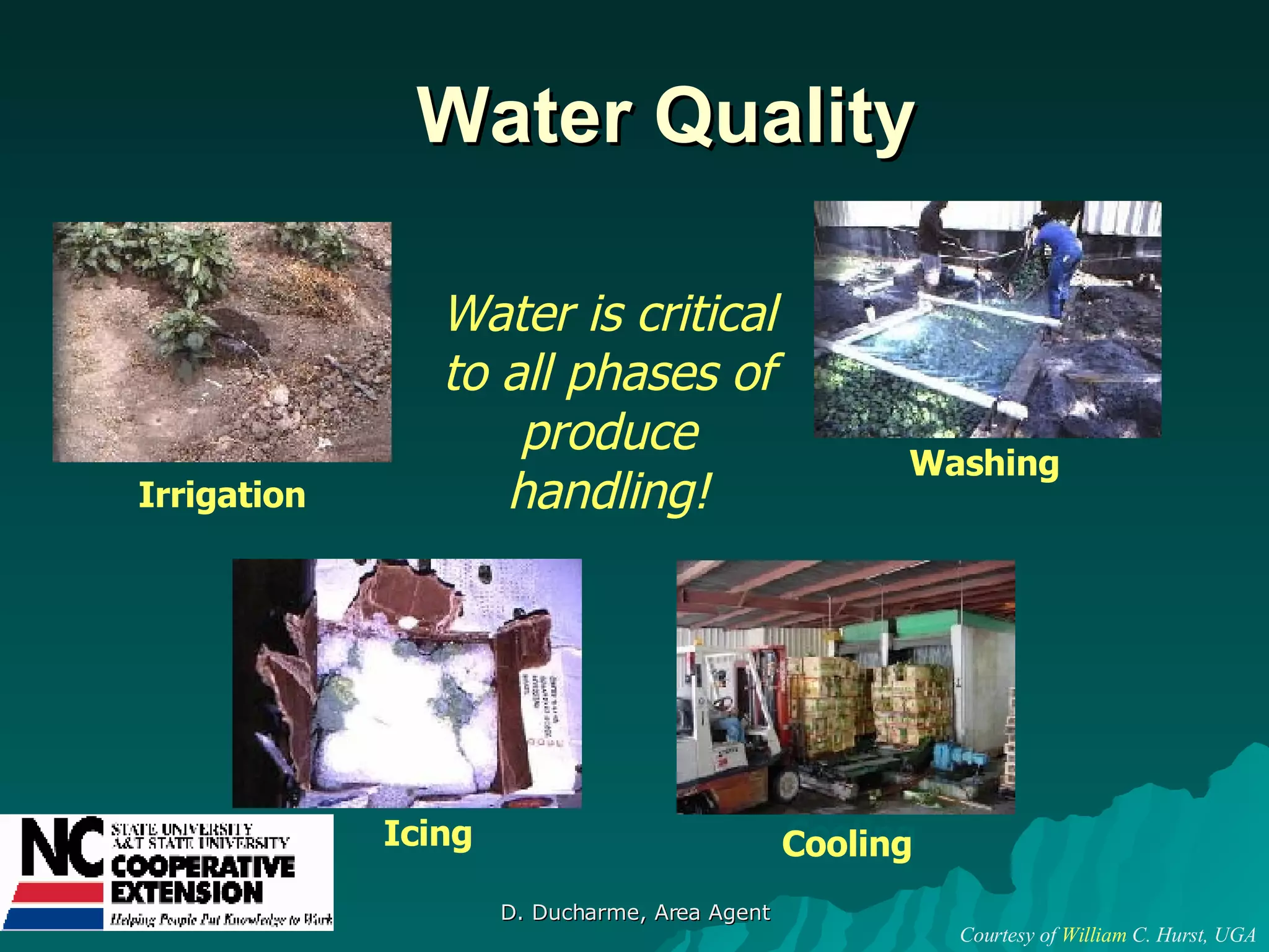 Water Quality Irrigation Washing Cooling Icing Water is critical to all phases of produce handling! Cooling Courtesy of  William  C. Hurst, UGA 