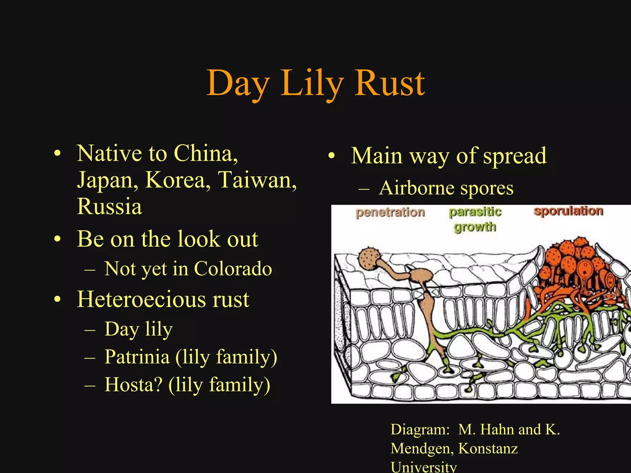 Good Class4 Ornamental Diseases