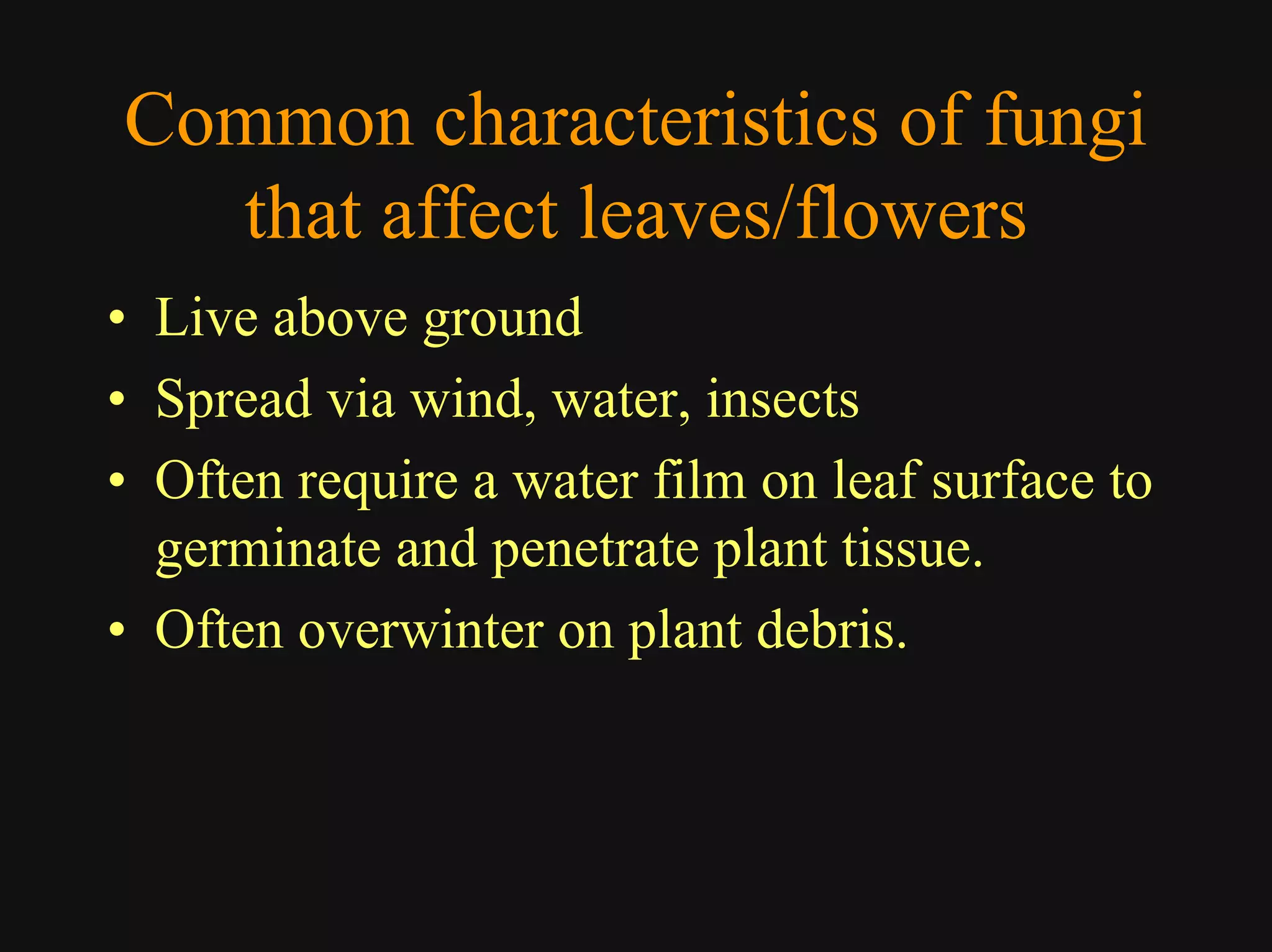 Good Class4 Ornamental Diseases