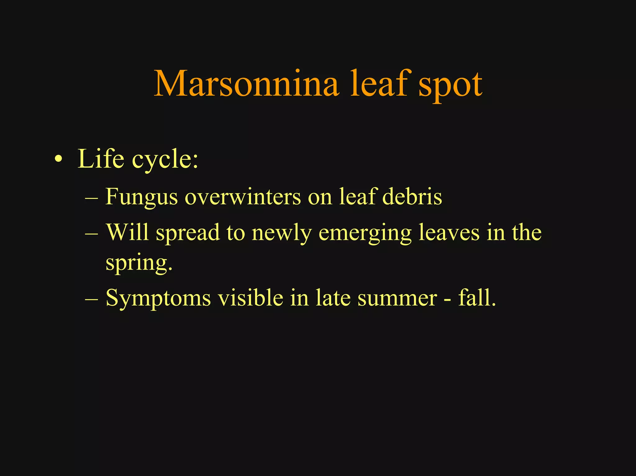 Good Class4 Ornamental Diseases