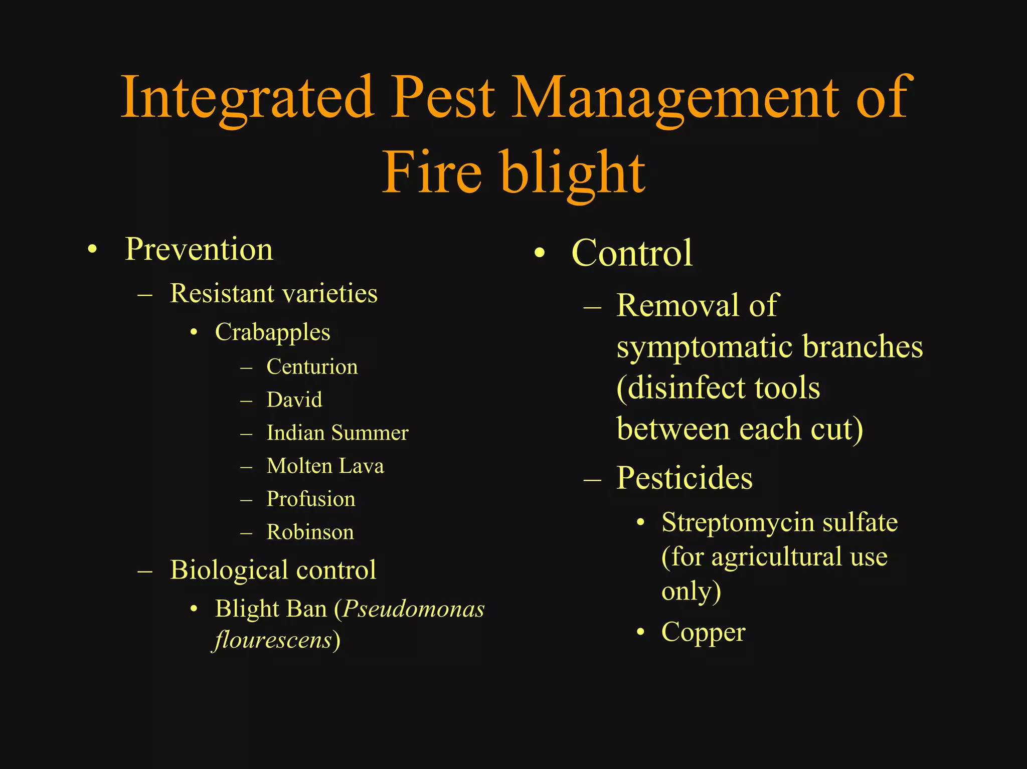 Good Class4 Ornamental Diseases