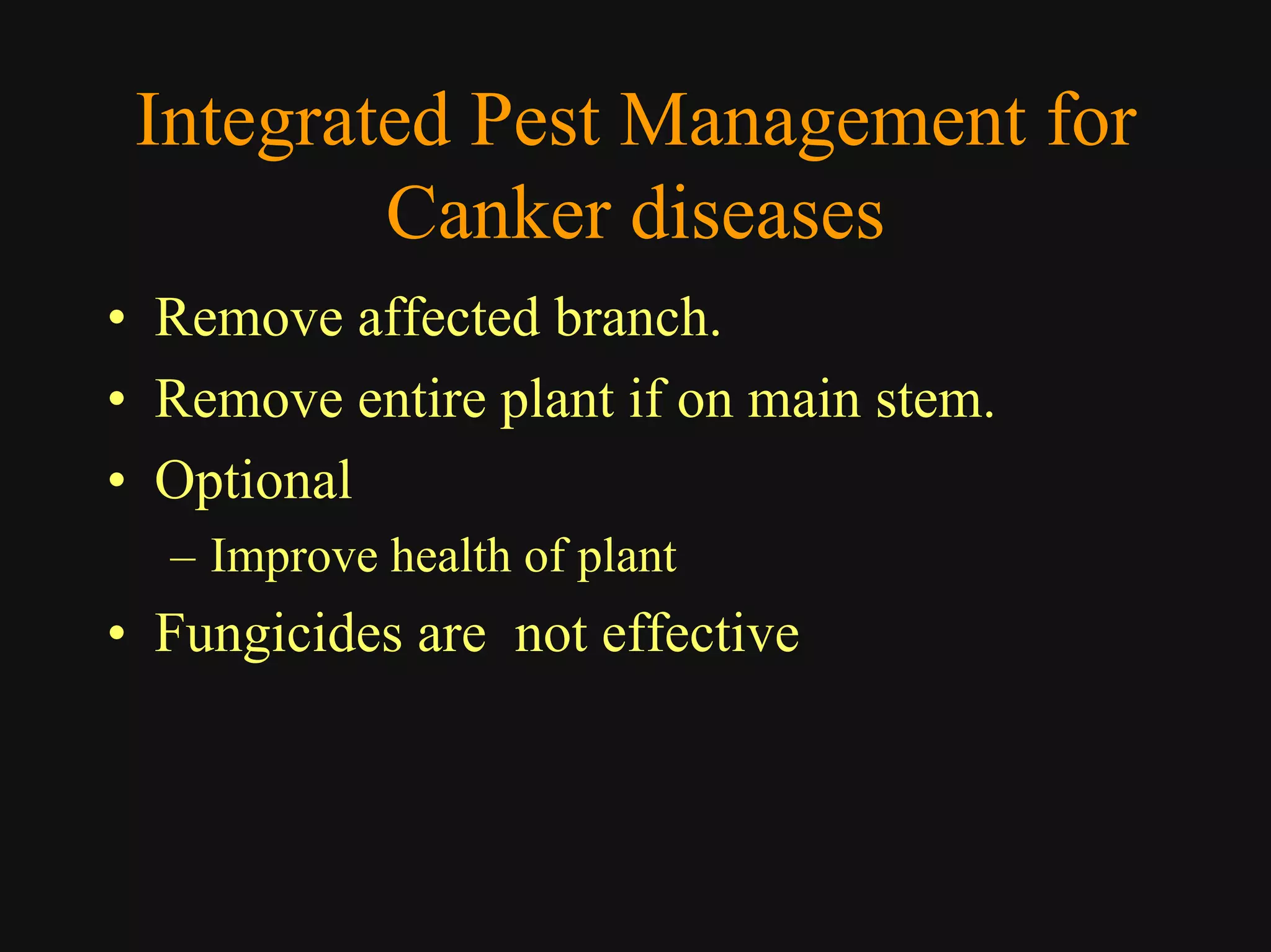 Good Class4 Ornamental Diseases